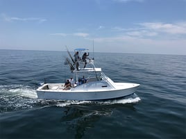 Red Snapper Fishing Trip