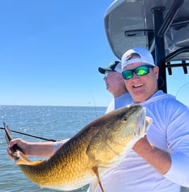 Morning 4hr back bay trip. 