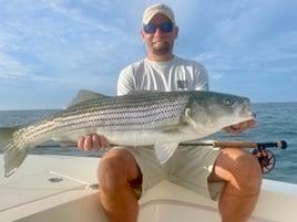 Nantucket Sound Half or Full Day