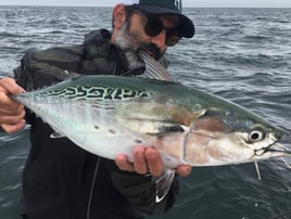 Half or Full Day Trip Saltwater 