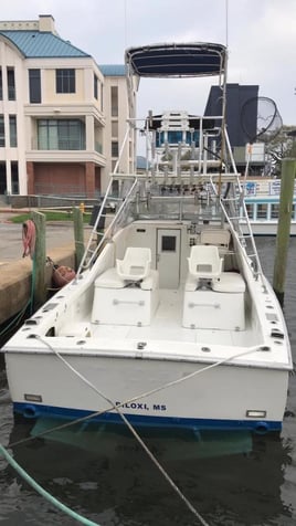 Biloxi Red Snapper Fishing