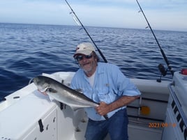 6-8 Hours Day Trip – Cape Cod Bay