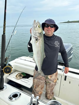 6-8 Hours Day Trip – Cape Cod Bay