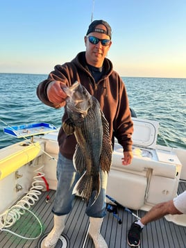4-8 Hour Trip - Inshore/Nearshore