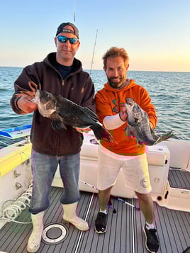 4-8 Hour Trip - Inshore/Nearshore