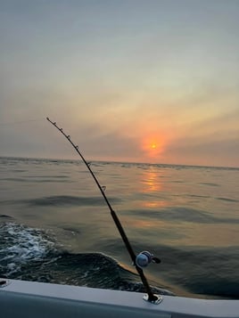 10 Hour Trip – Shark Fishing