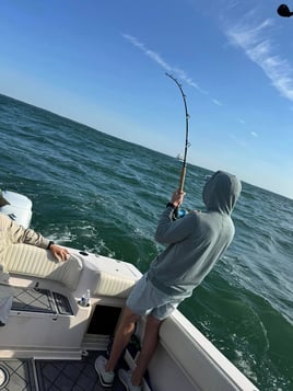 10 Hour Trip – Shark Fishing