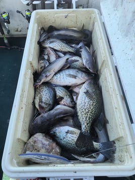 Bass, Crappie, and Catfish trips