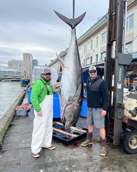 Full Day Trip – Offshore