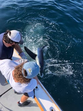 Full Day Trip – Offshore