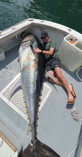 Full Day Trip – Offshore