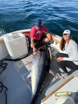 Full Day Trip – Offshore