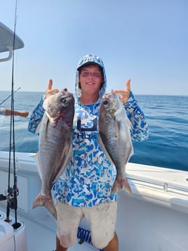 Bottom Fishing - 34' Yellow Fins