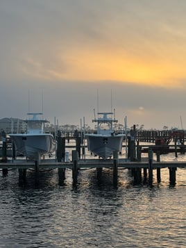 Bottom Fishing - 36' Yellow Fins
