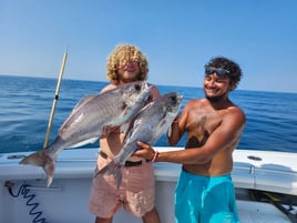 Bottom Fishing - 36' Yellow Fins