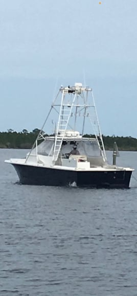 37' Catamaran Gulf Of America Slam
