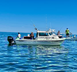 Cape Cod Porgy Fishing