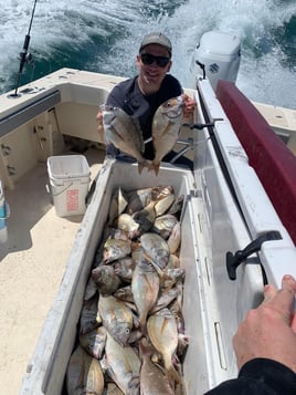 Cape Cod Porgy Fishing