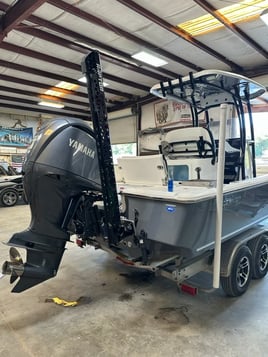 Afternoon 4hr Back Bay Trip. 