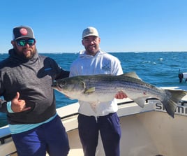 5 Hours Morning Boston Harbor