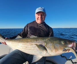 5 Hours Morning Boston Harbor