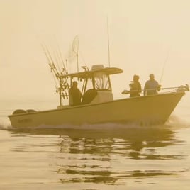 5 Hours Morning Boston Harbor