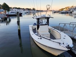 8 Hours Cape & RI Bottom Fishing