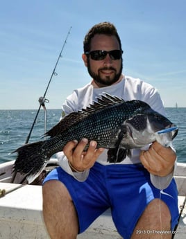 6-8 Hours Cape Cod Bottom Fishing