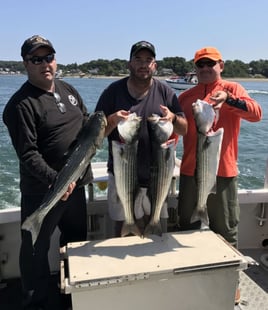 4-8 Hour Trip - Inshore
