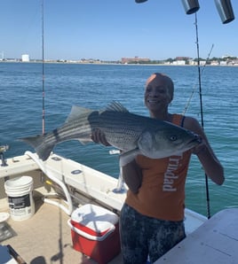 4-8 Hour Trip - Inshore