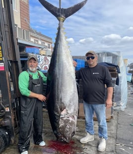 10-12 Hour Trip – Offshore