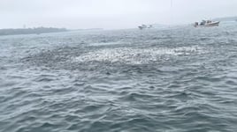 10-12 Hour Trip – Offshore