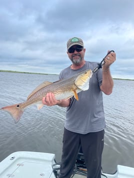 Speckled Trout and Redfish
