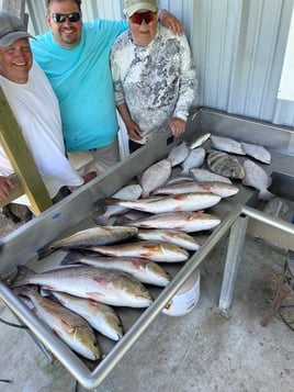 Speckled Trout and Redfish