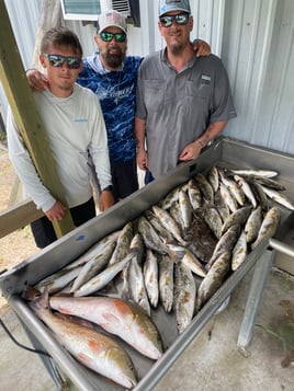 Speckled Trout and Redfish