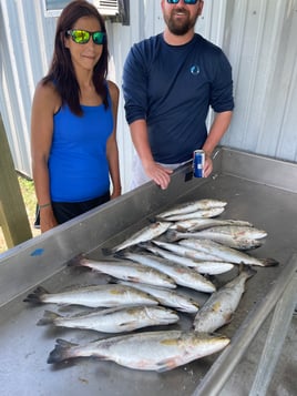 Speckled Trout and Redfish