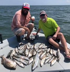 Speckled Trout and Redfish
