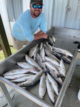 Speckled Trout and Redfish