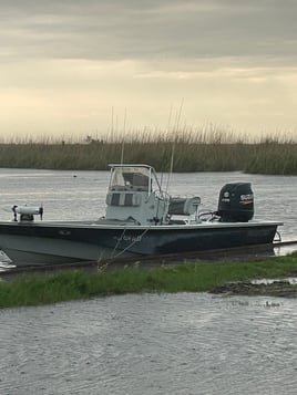 Speckled Trout and Redfish