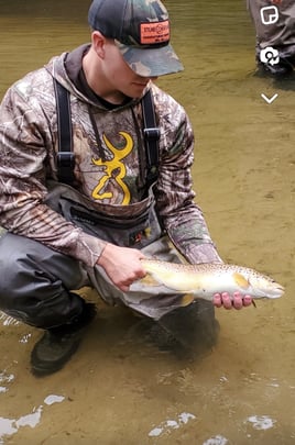 White water River adventures 