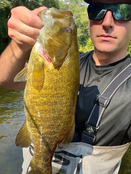 White water River adventures 