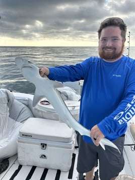 5 hour shark trip