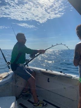 5 hour shark trip
