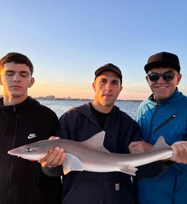 7 Hour Trip – "Shark Boss" Special