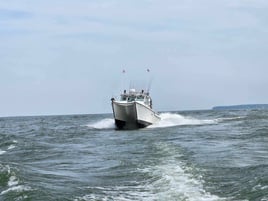 Morning Wallaye or Perch charter