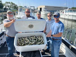 Morning Wallaye or Perch charter