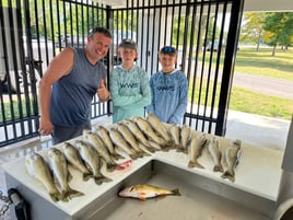 Morning Wallaye or Perch charter