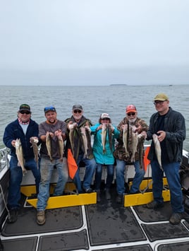 Morning Wallaye or Perch charter