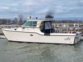 Morning Wallaye or Perch charter