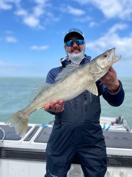 Morning Wallaye or Perch charter